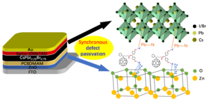 Fullerene-derivative interlayer improves power conversion efficiency