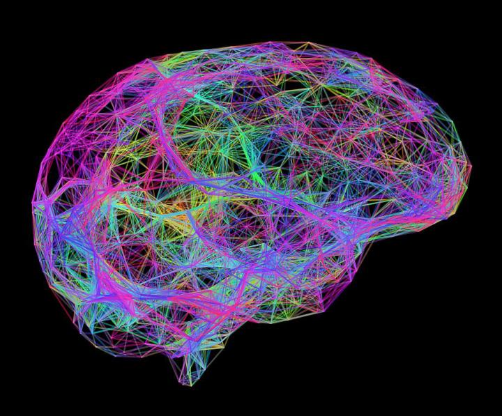 Infant Brain Study 2018