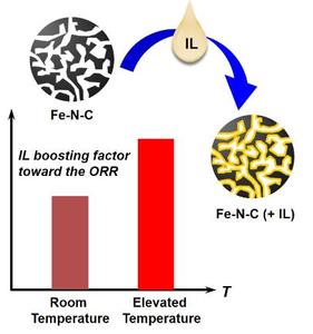 Ionic liquids (ILs) can significantly boost the oxygen reduction reaction (ORR) performance of Fe-N-C electrocatalysts. The IL boosting effect is maintainable and becomes even more pronounced at elevated operating temperatures.