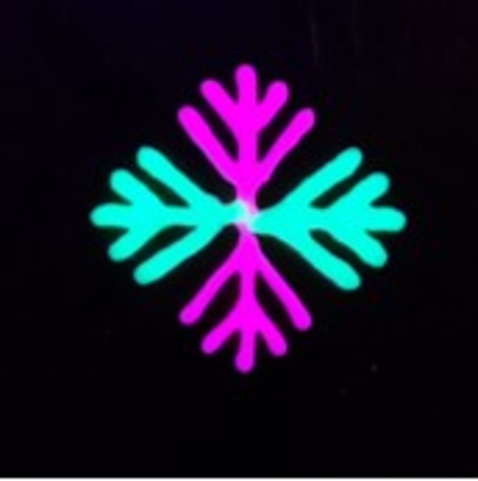 Cryobioprinted 2D sample in the pattern of a snowflake