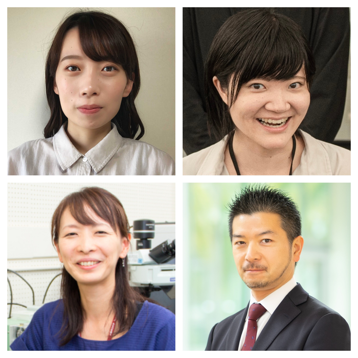 From top left – First author Ayano Tsuru and supporting author Yumi Hamazaki. From bottom left - Research advisors Professor Eriko Kage-Nakadai, and Professor Shuta Tomida