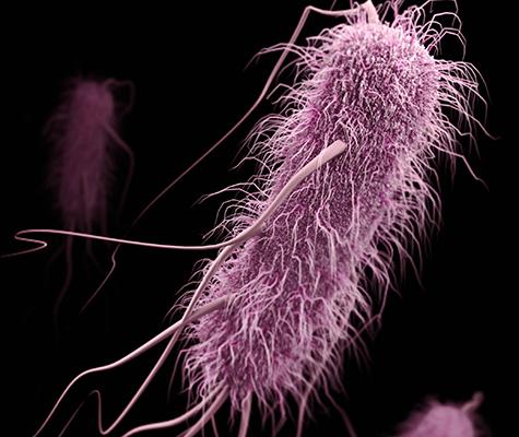 Antibiotic Resistance Poised to Spread