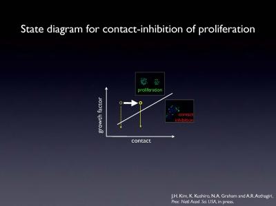 Growth Factors vs. Contact Inhibition in Cell Division