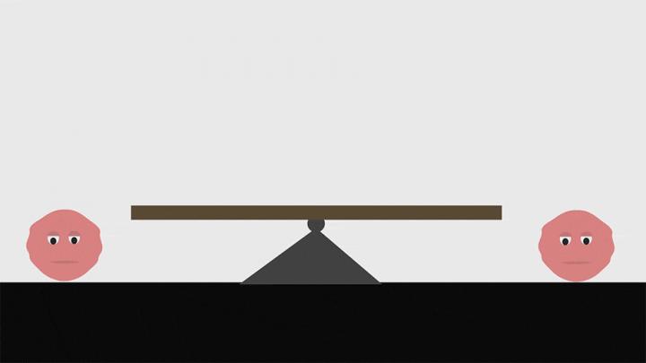 What Makes a Skin Cell Destined to Be Hairy or Sweaty