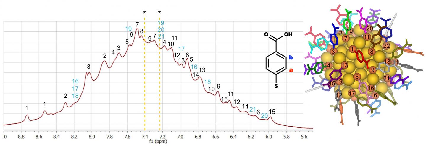 Gold Atom Nanocluster