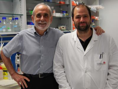 George Thomas and Giulio Donati, IDIBELL