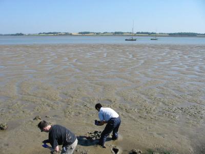 The Colne Estuary