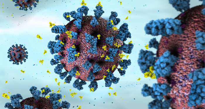 Molecular illustration of SARS-CoV-2 virus