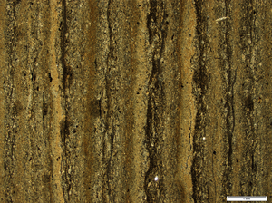 Layers in Lake Sediment