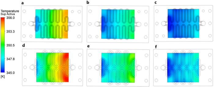 Temperature distribution in the membrane