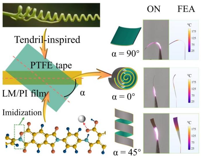 Tendril-like Transformation - Plant-inspired Liquid Metal Actuators Unlock New Potential for Flexible Robotics