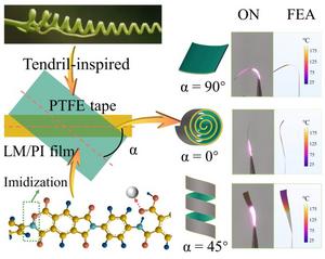 Tendril-like Transformation - Plant-inspired Liquid Metal Actuators Unlock New Potential for Flexible Robotics