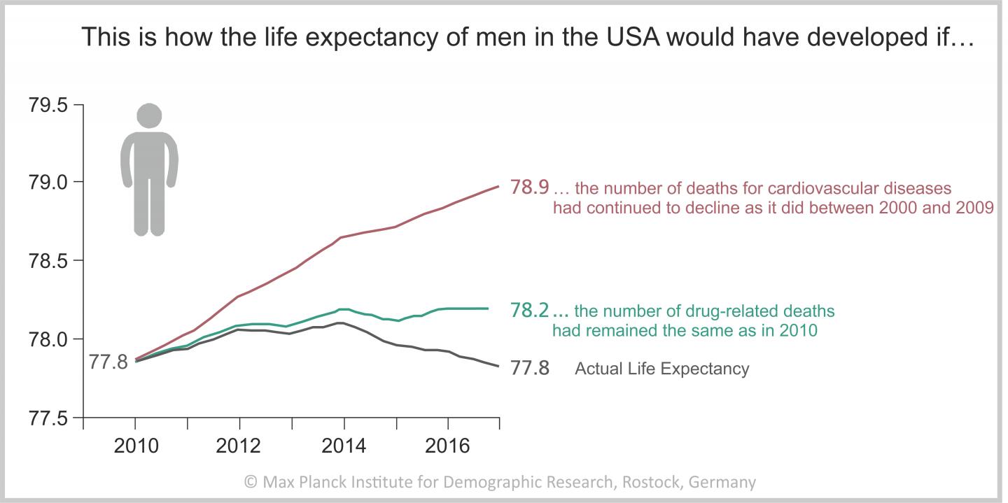 Simulation of life expectancy