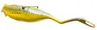 Tully Monster Reconstruction