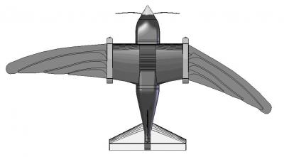 Roboswift Wings