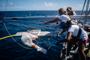 Trawling for microplastics in the Caribbean