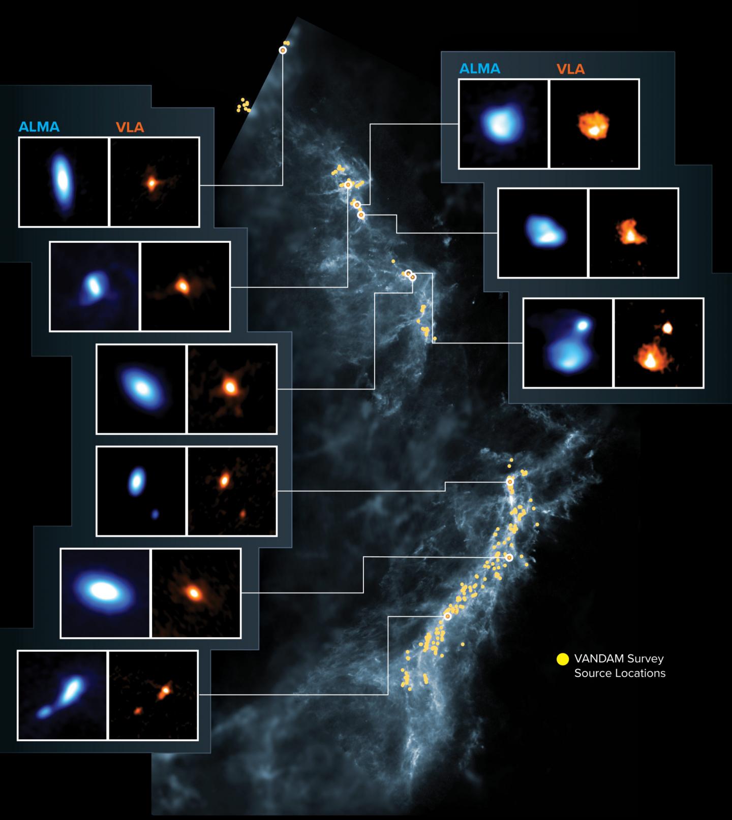 Observed Protostars in Orion Molecular Clouds