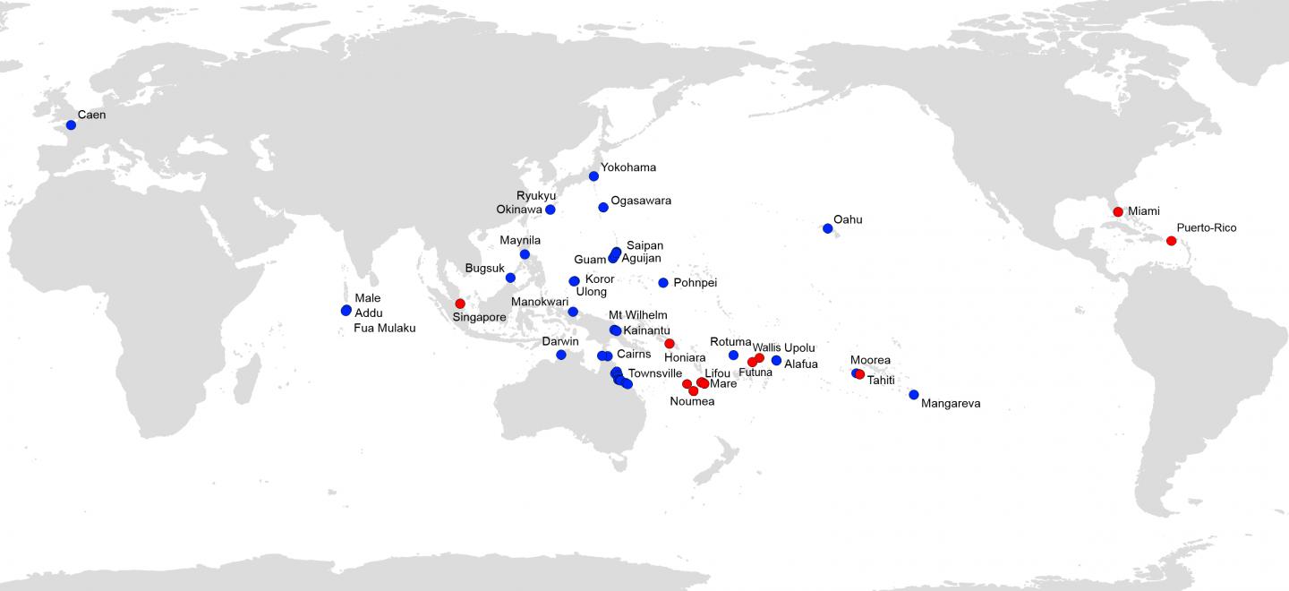 Platydemus Anokwari, Map of Distribution Records. Blue: Previous Records, Red: New Records Reported 