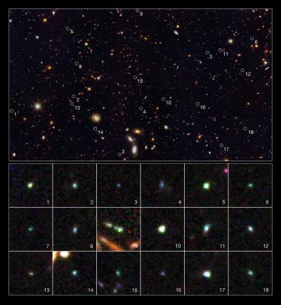 Tiny Galaxies Brimming with Star Birth