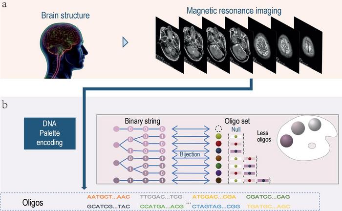 Encoding scheme of DNA Palette