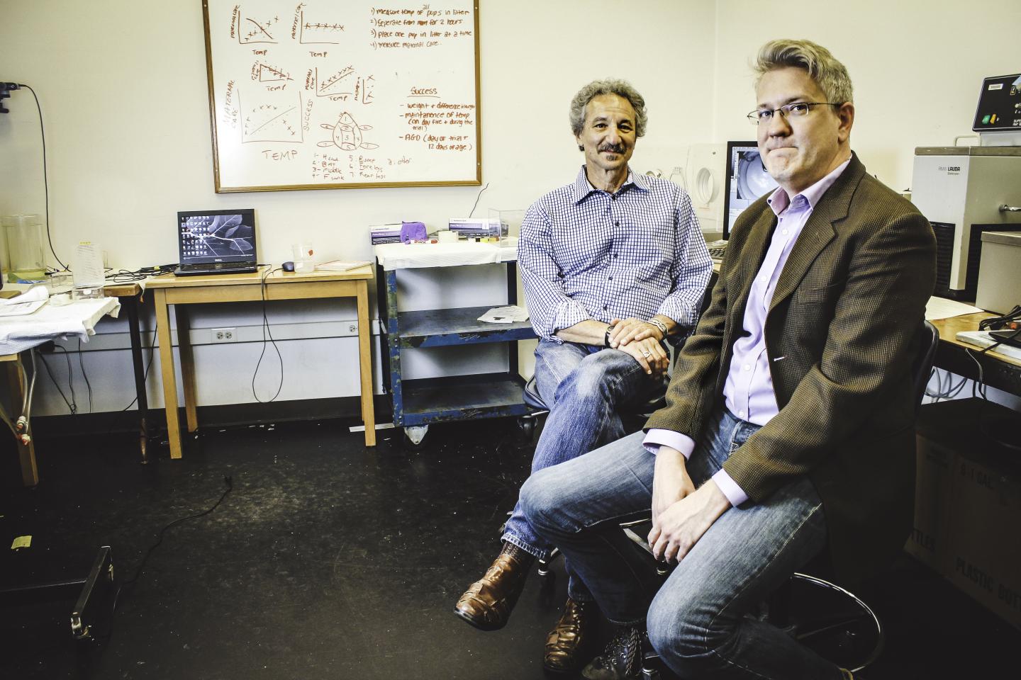 Jeffrey Alberts and Christopher Harshaw, Indiana University