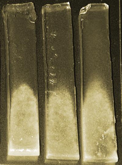 Scaffold Gradients: Finding the Right Environment for Developing Cells