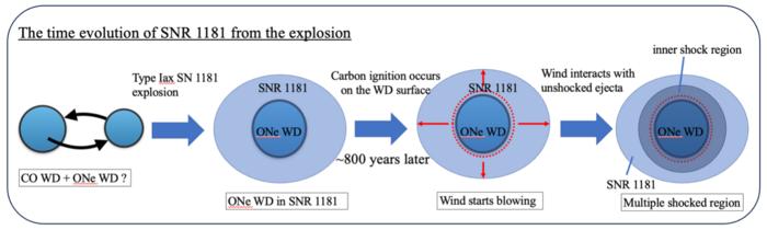 Illustration of the evolution of SNR 1181.