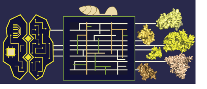 Machine learning meets plant pathogens
