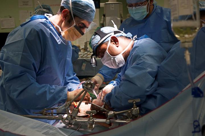 The VITTAL Team Perform Liver Transplant