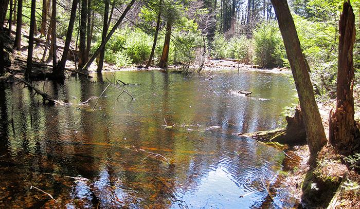 Small Ponds and Greenhouse Gases