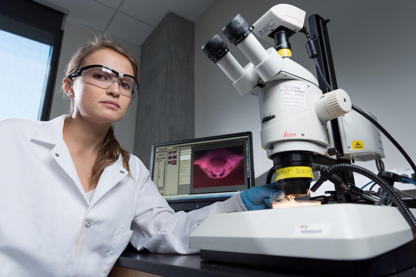 Suomi NPP Image of Champi