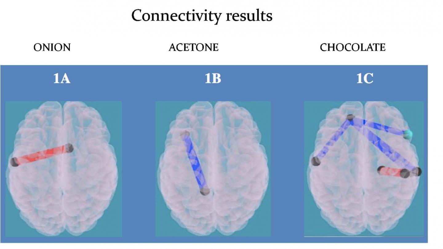 Figure 1: Food Odors Activate Impulse Area of the Brain in Obese Children