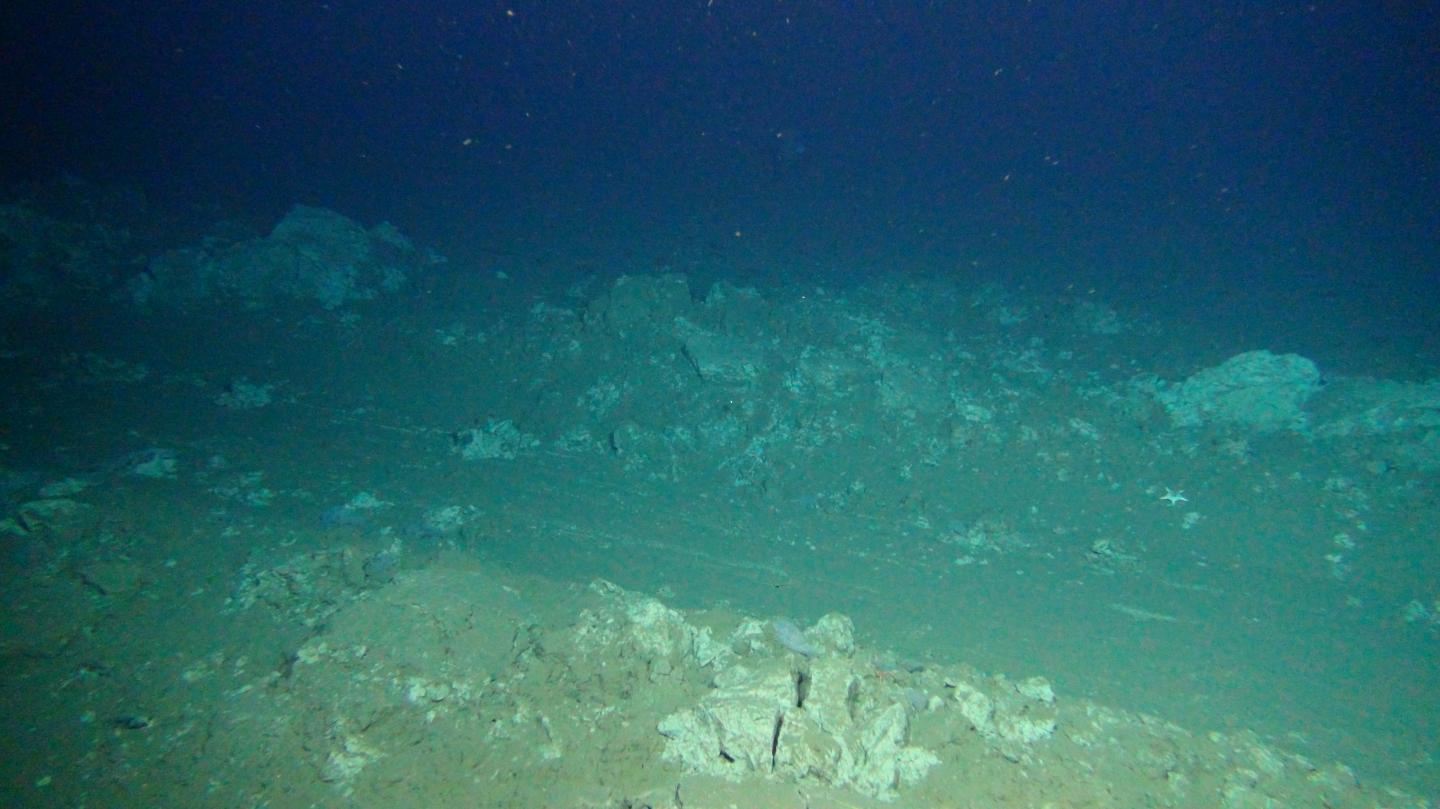 Plough Tracks on the Deep Seafloor