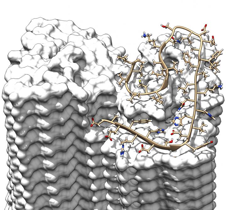 Overlapping Arrangement of the Aβ Proteins