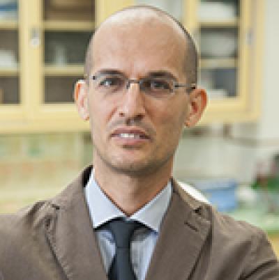 Luigi Fontana, Washington University School of Medicine