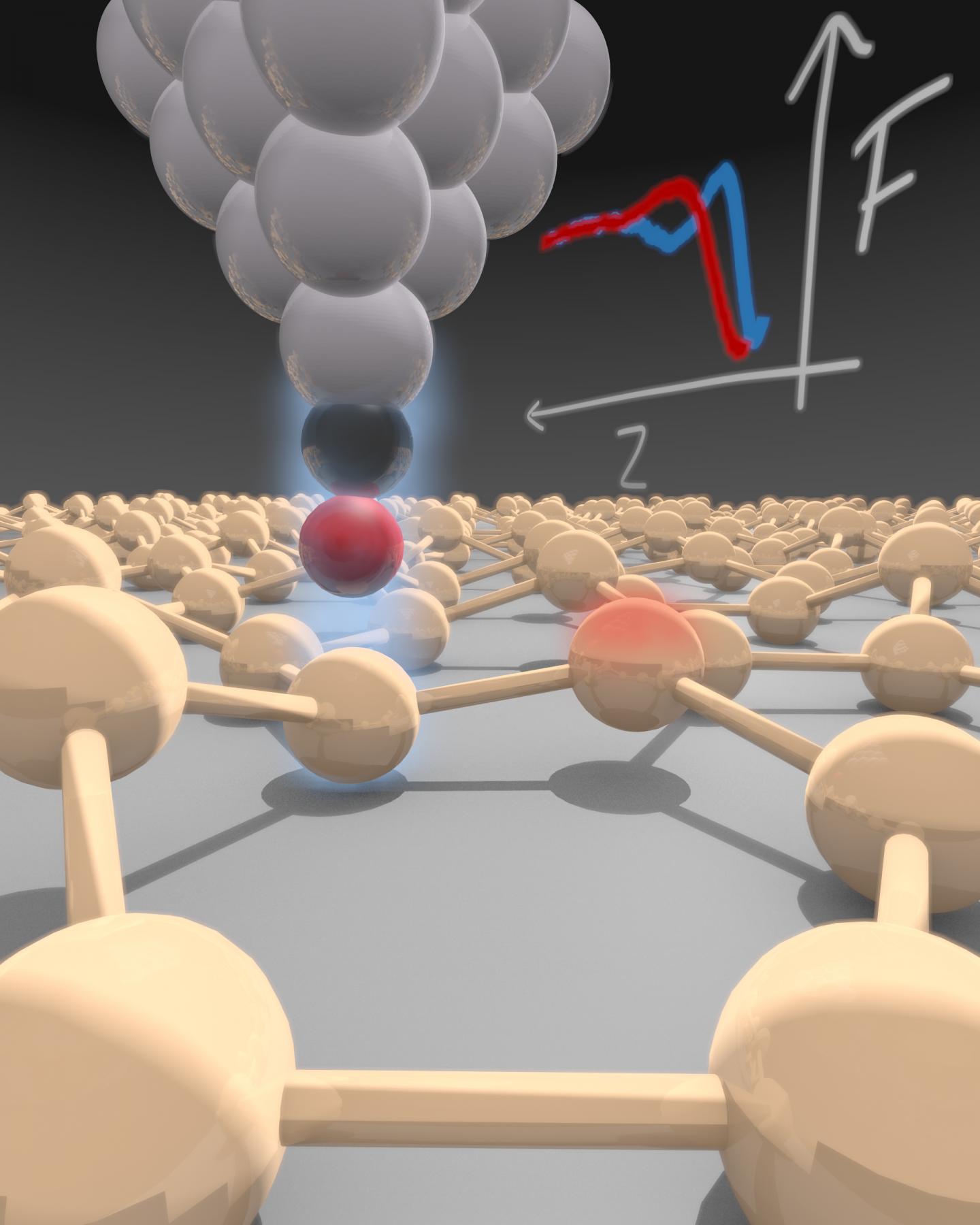 Quantitative Measurement of Forces between Sample and Tip