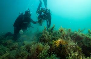 Dominic McAfee and Sean Connell diving at a reef credit Stefan Andrews