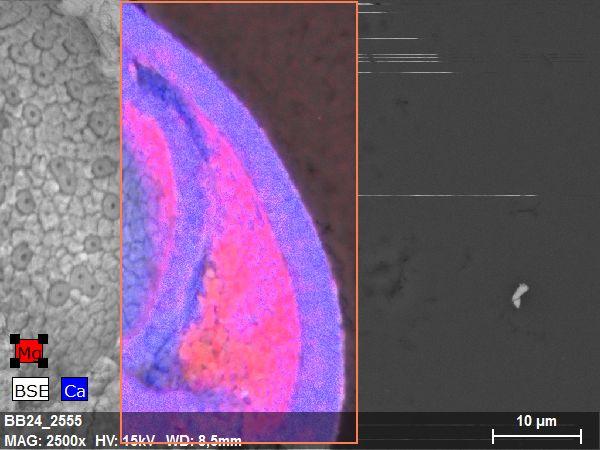 Secondary Overgrowth