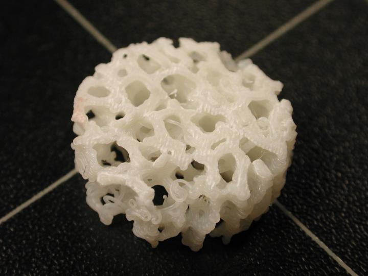 Close-up of a 3D Printed Scaffold