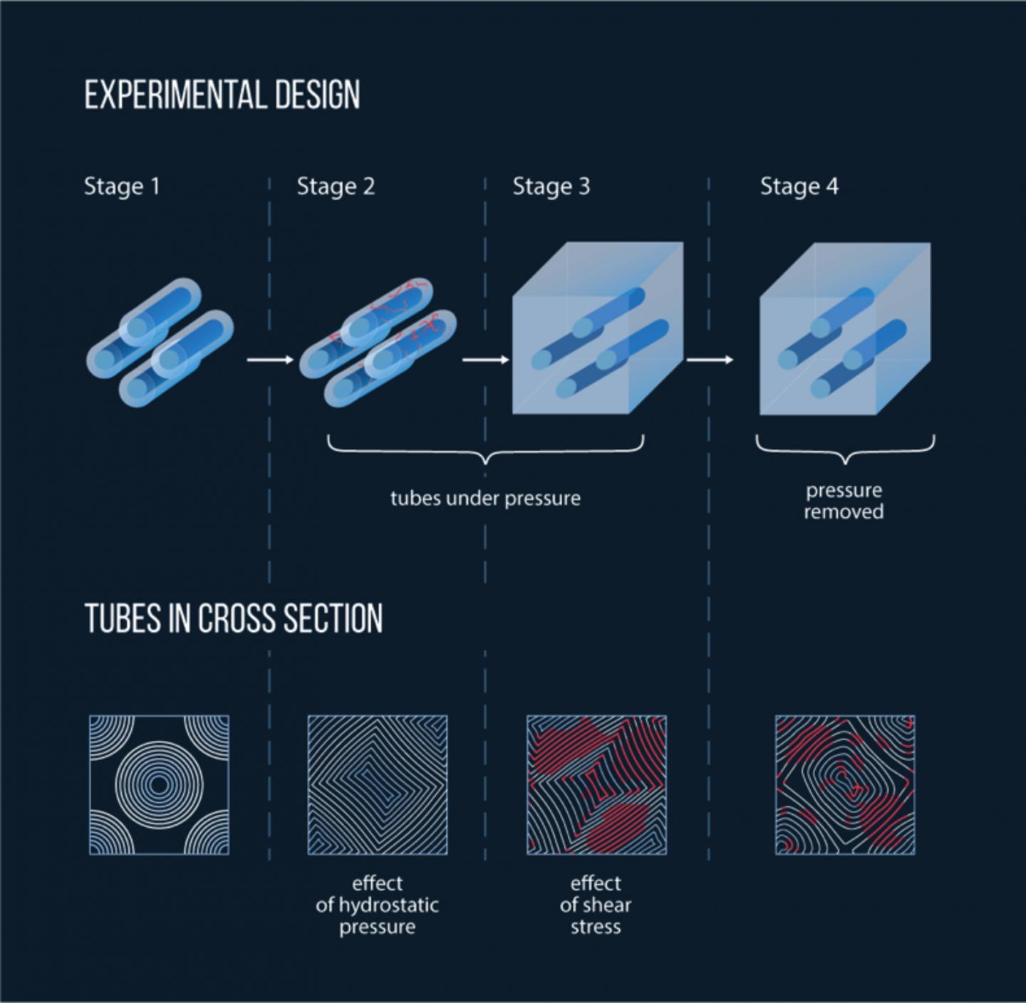 A Schematic Representation of the Nanotube 'Fusing' Process