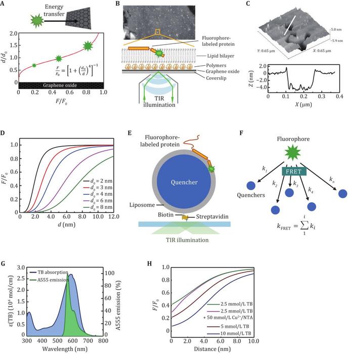 The principle of SIFA and LipoFRET