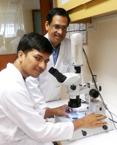 Raghavender Medishetty and Jagadese J Vittal, National University of Singapore