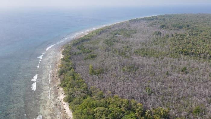 Drone image of the mangrove dieback on HDh. Neykurendhoo.