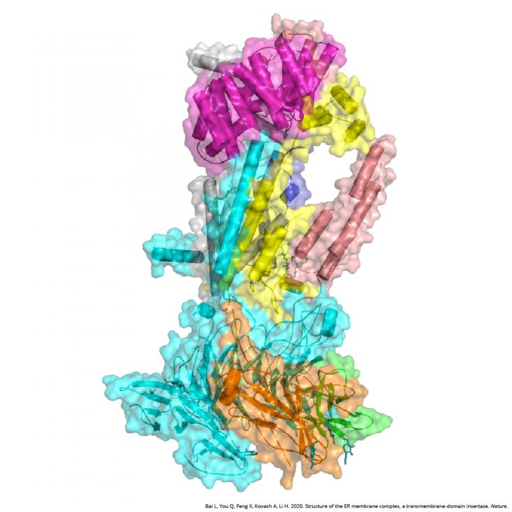 Cryo-EM Structure 