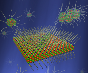 The synthesis of lead sulphide nanoparticles