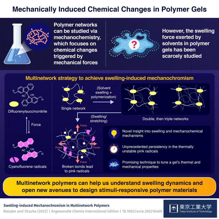 Mechanically Induced Chemical Changes in Polymer Gels