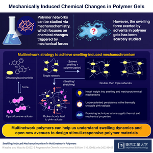 Mechanically Induced Chemical Changes in Polymer Gels