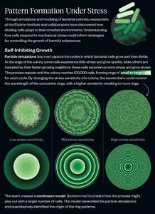 Cell Collectives Infographic