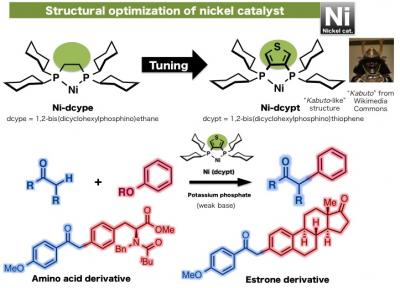 Structural Optimization of Nickel Catalyst and Its Reaction