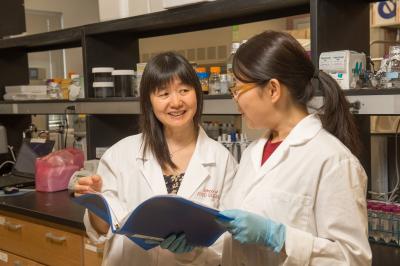 Meijun Zhu and Lina Sheng, Washington State University